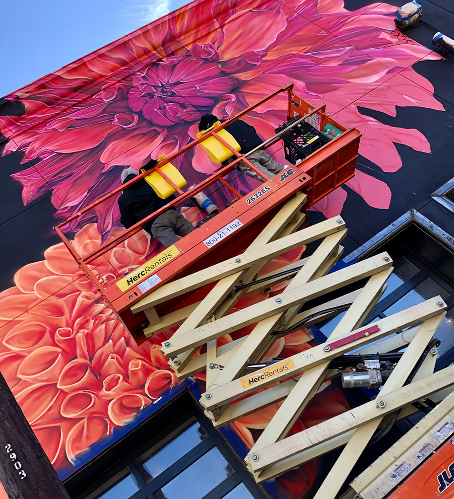 Dalia 0001 Dalia Work In Progress