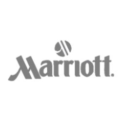 Vector Smart Object 12 removebg preview